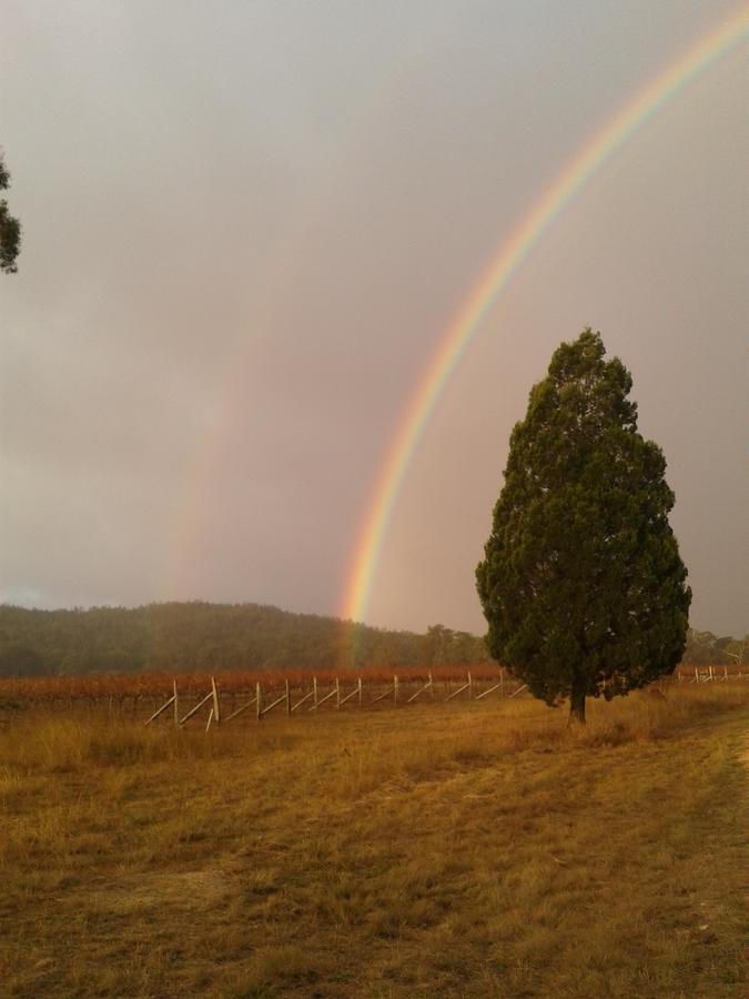 Whiskey Gully Wines Vila Stanthorpe Exterior foto