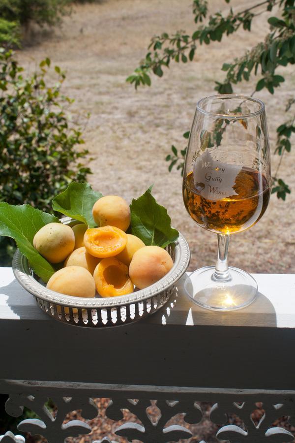 Whiskey Gully Wines Vila Stanthorpe Exterior foto